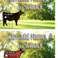 Sporty Yard Signs Single Sided